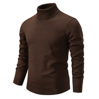 Evan | Herren Rollkragenpullover